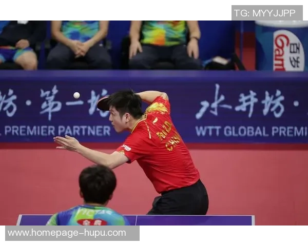 成都乒乓球队状态分析与发展展望聚焦乒乓球运动的未来潜力与挑战